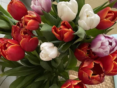 Подписка на цветы "Охапка" (4 доставки) - заказать доставку цветов в Москве  от Leto Flowers