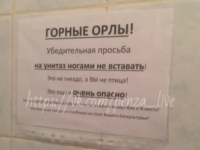 Информационная табличка / На унитаз ногами не вставать. 20x20 см. Сити  Бланк, 20 см, 20 см - купить в интернет-магазине OZON по выгодной цене  (1221949035)