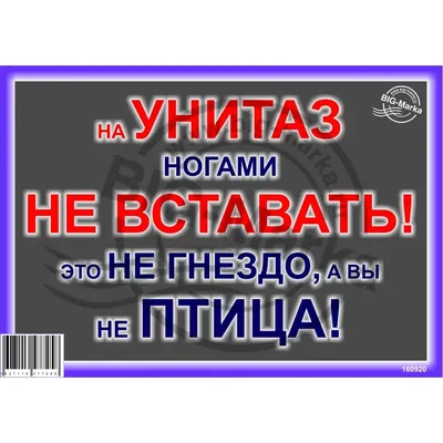 Тоже спрошу: зачем забираться на унитаз ногами? Форум Страница 1