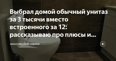 Выбрал домой обычный унитаз за 3 тысячи вместо встроенного за 12:  рассказываю про плюсы и минусы встроенной системы | BAZILEVSKI / Я ИЗ  СИБИРИ! | Дзен