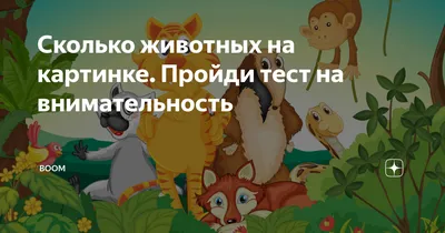 Внимательность к деталям: прокачай ее с помощью особого теста