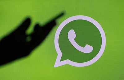 Картинки на аву в Ватсап: зачем нужны аватарки и статусы в WhatsApp