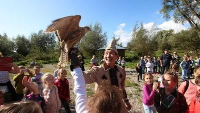 Совы и соколы полковника Лаврентьева: гроза оппозиционных митингов в  Калининграде занялся разведением хищных птиц - 