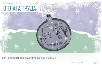 С начала декабря в г.о. Подольск начали работу ёлочные базары |  Администрация Городского округа Подольск