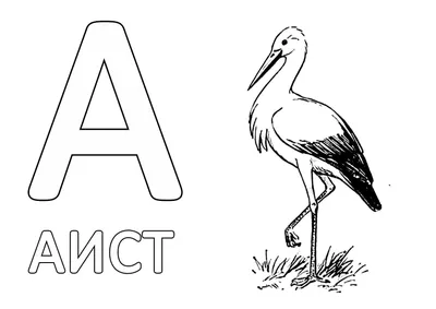 Лэпбук «Буква «А» (9 фото). Воспитателям детских садов, школьным учителям и  педагогам - Маам.ру