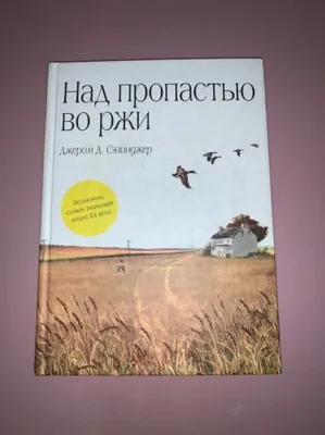 Читая роман «Над пропастью во ржи» | Папмамбук