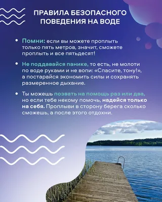 Безопасность дорожного движения – Государственное автономное  профессиональное образовательное учреждение Мурманской области "Мурманский  колледж экономики и информационных технологий"