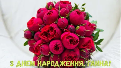 Pin by ÐÐ¸ÑÐ°Ð¹Ð»Ð¾ ÐÐµÐ³ÐµÐ±Ð° on з днем народження | Birthday wishes  flowers, Happy birthday pictures, Birthday greetings