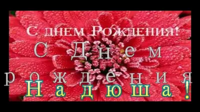 Поздравления с днем рождения Надежде - News-XL