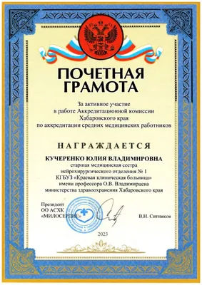 На "Первом канале" показали награждение раненых в ходе спецоперации на  Украине российских военных - 