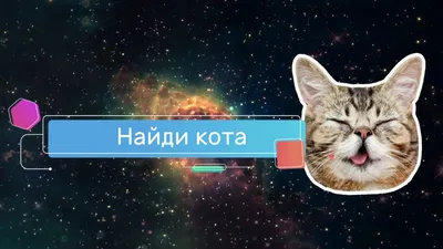 Найди кота и ставь лайк))))