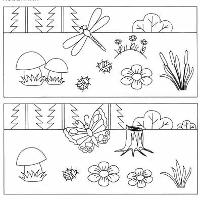 Детский развивающий сайт "Детские развивалки" - развивающие задания для  детей. Задание - Найди отличия и раскрась картинки (№156)