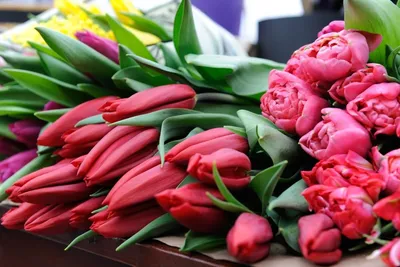 В канун 8 Марта цветочный бизнес процветает