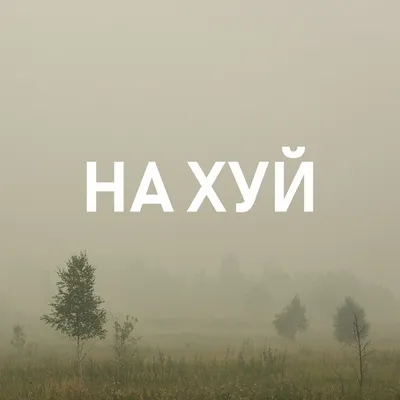 Мем: "Нахуй - это вон туда!" | Мемы, Картинки, Смешно