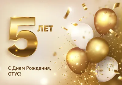 Нам 5 лет! | Новости магазина 