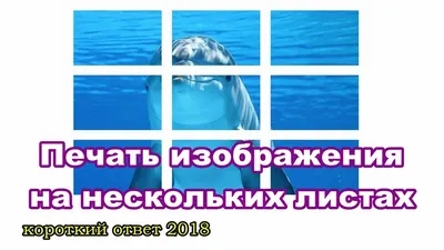 Как распечатать постер из нескольких листов А4?