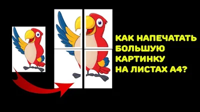 Как распечатать картинку на нескольких листах А4?