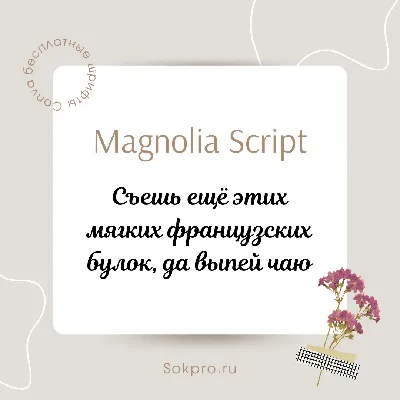 Как сделать красивый шрифт в Инстаграме: полезные сайты и приложения