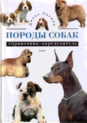 ТОП-10 пород собак белого цвета: название, описание, фото | Собачья жизнь |  Дзен