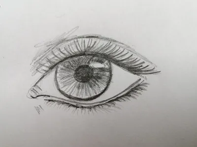 Красивые рисованной женские глаза эскиз дизайна | Бесплатно векторы
