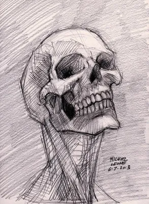 Рисунки нарисованные карандашом черепа - 72 фото