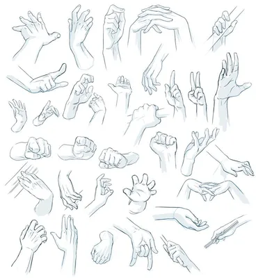 Как рисовать руки: советы, подсказки. | Hand drawing reference, How to draw  hands, Pencil inspiration