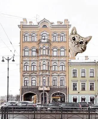 Петербурженка добавляет на снимки нарисованных котов 🐈. «Бумага»