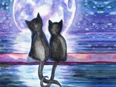 Два нарисованных котика - 48 фото