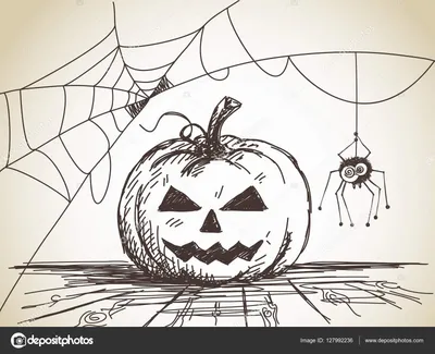 Как нарисовать паука на хэллоуин - 31 фото