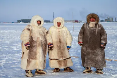 Как отмечают Новый год коренные народы Севера