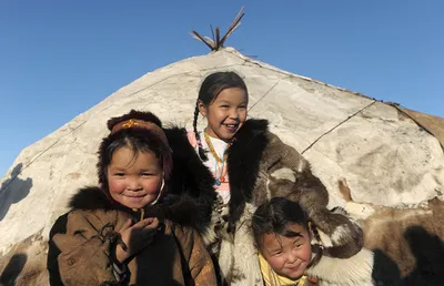 Эксперты ПОРА предложили обучить коренные народы Севера предпринимательству  - International Centre for Reindeer Husbandry - ICR