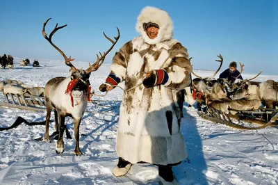 Сказки народов Севера