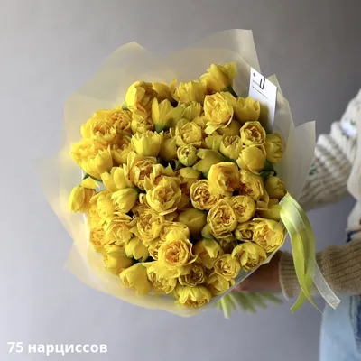 Купить луковицы нарциссов Flower Surprise почтой, недорого в  интернет-магазине «Остров цветов»