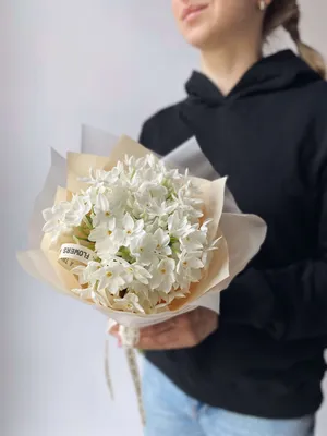 Букет белых кустовых нарциссов – купить с доставкой в Москве