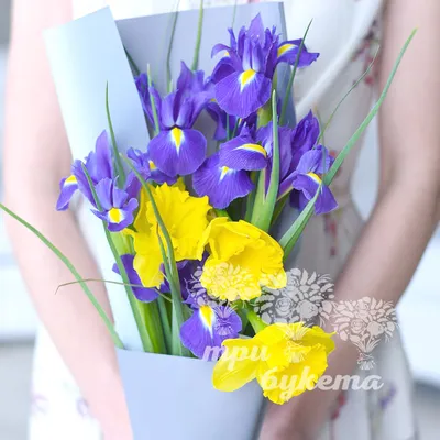Нарциссы с тюльпанами - 101 шт. за 21 390 руб. | Бесплатная доставка цветов  по Москве