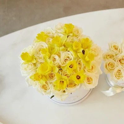 Нарциссы с белыми розами в коробке на 23 февраля за 5 890 руб. | Бесплатная  доставка цветов по Москве