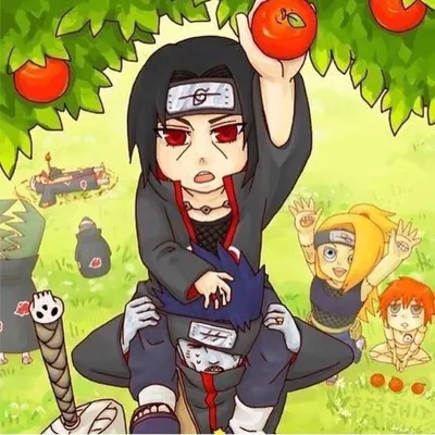 Обои Аниме Naruto, обои для рабочего стола, фотографии аниме, naruto,  itachi, kakuzo, kisame, zetsu, hidan, tobi, sasori, pain, deidara,  akatsuki, konan, art Обои для рабочего стола, скачать обои картинки  заставки на рабочий