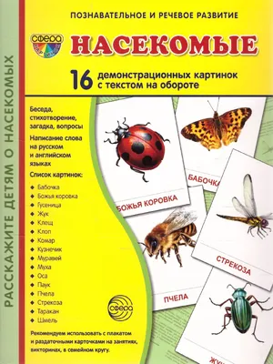 Демонстрационные картинки СУПЕР. Насекомые. 16 демонстрационных картинок с  текстом 173х220 мм - Межрегиональный Центр «Глобус»