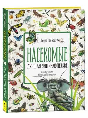 РЕПТИЛИИ И ДРУГИЕ НАСЕКОМЫЕ НА АНГЛИЙСКОМ! | ВКонтакте