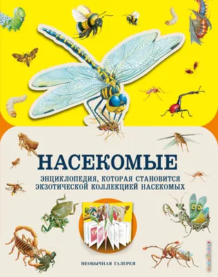 Набор для раскопок Бумбарам Насекомые купить по цене 299 ₽ в  интернет-магазине Детский мир