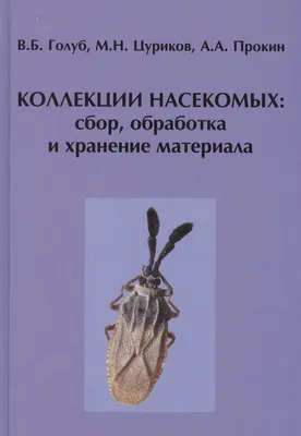 Насекомых — в рацион: новые разработки российских ученых