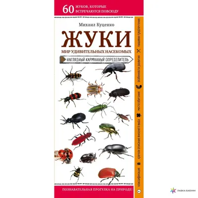 Книга Омега Что? Почему? Зачем? Всё о насекомых, с волшебными окошками -  03918-5 купить в интернет-магазине Наша детка в Москве и России, отзывы,  фото