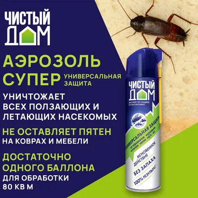 В Роспотребнадзоре предупредили об опасных южных насекомых - РИА Новости,  