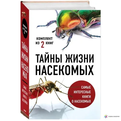 Инсектицид Раптор, от ползающих насекомых, аэрозоль, 350 мл в Курске:  отзывы, цены, описание и фотографии, специальные цены в интернет-магазине  Порядок.ру