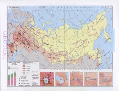 К 2030 году население России сократится на 3 млн человек | Inc. Russia |  Дзен