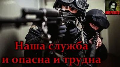 Наша служба и опасна, и трудна... | Пикабу