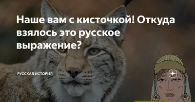 Отзыв о Книга "Наше вам с кисточкой!" - Виктор Чижиков | Просто  замечательная книжка для такой цены!