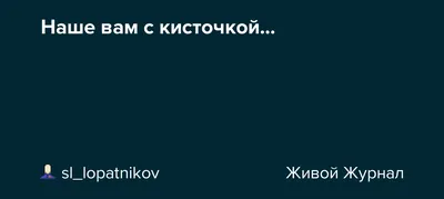 Наше вам с кисточкой: истории из жизни, советы, новости, юмор и картинки —  Горячее | Пикабу