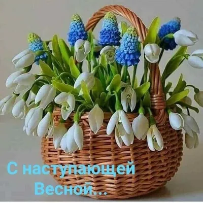 Всем щедрой весны! (Людмила Савицкая 2) / Стихи.ру