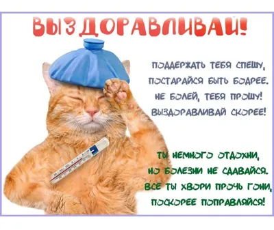 Мем: "Наташа, ты там не болей Выздоравливай, давай Не надо болеть, не надо  Не болей, Наташа!" - Все шаблоны - 